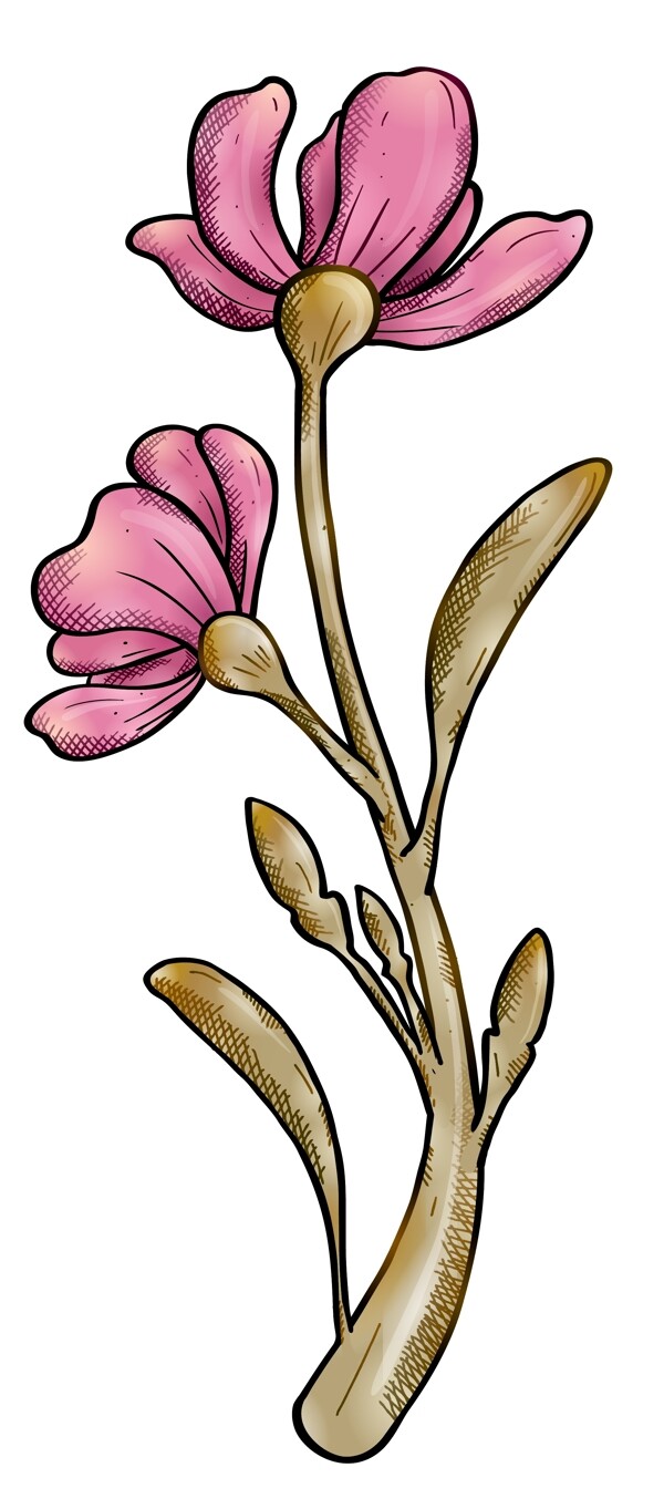 花朵AE源文件