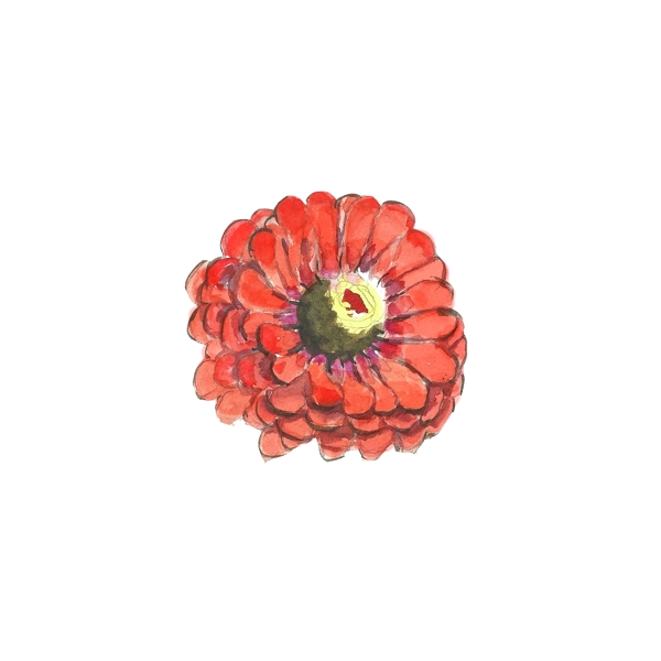 真紅花蕊psd源文件