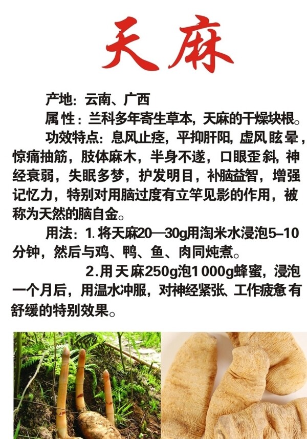 天麻