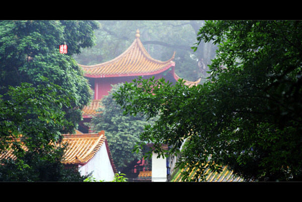 雨中廟宇