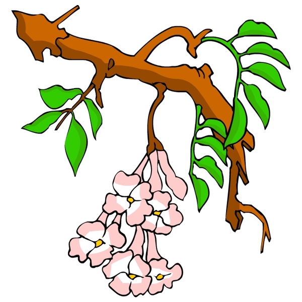 花卉古典插畫