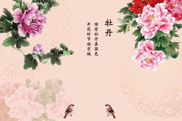 牡丹電視墻
