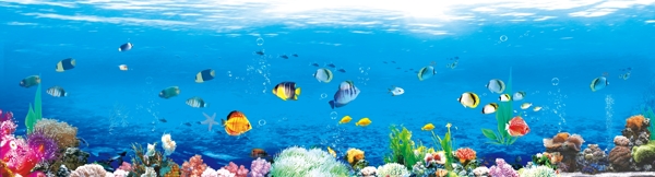 海洋