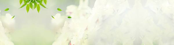 虛化護(hù)膚品清新背景banner