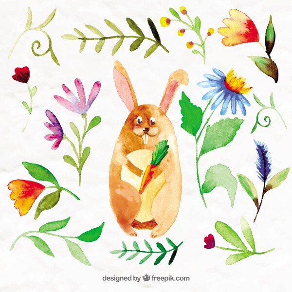 水彩兔子花和叶图片