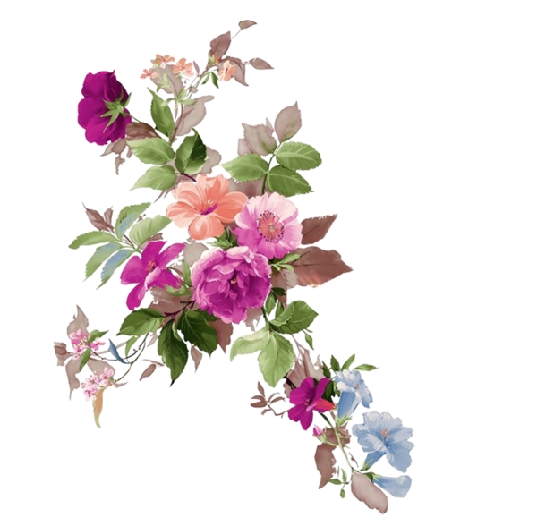 花素材