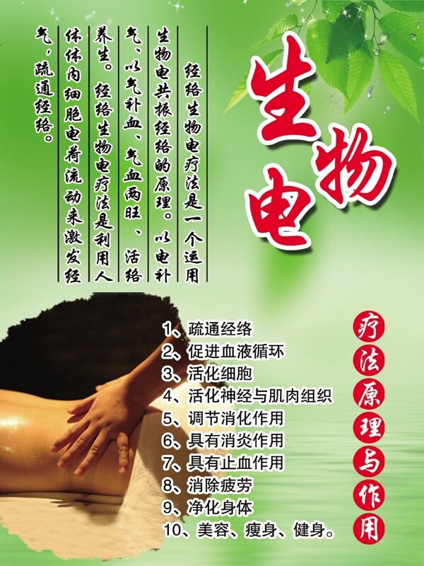 生物電