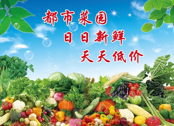 蔬菜圖片
