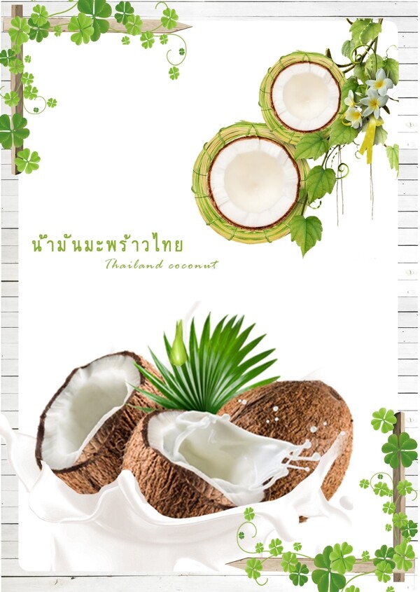 泰国样式动画片椰子