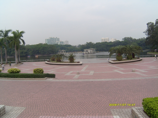 公園一角