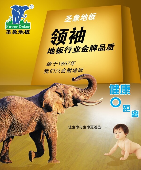 圣象地板宣傳
