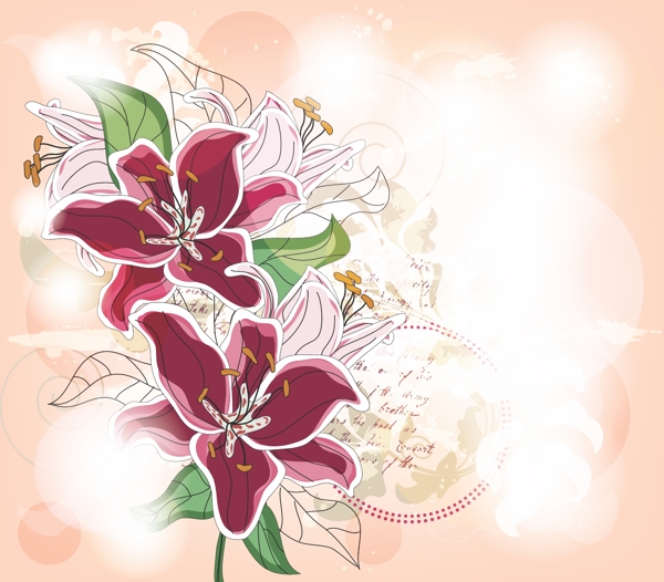 百合花圖片