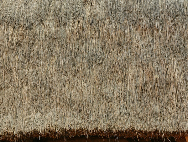 毛草材质贴图茅草屋顶茅草