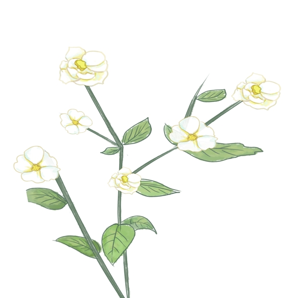 一枝清秀淡雅的小白花免抠图