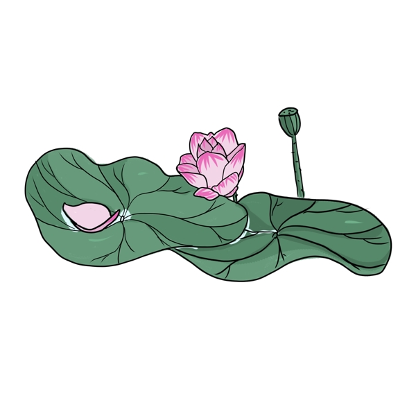 手繪中國風(fēng)荷花PNG素材