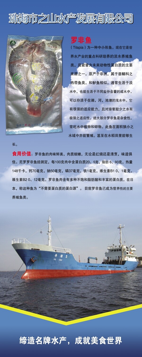罗非鱼宣传画图片