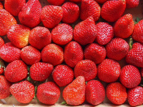 美味的草莓摄影
