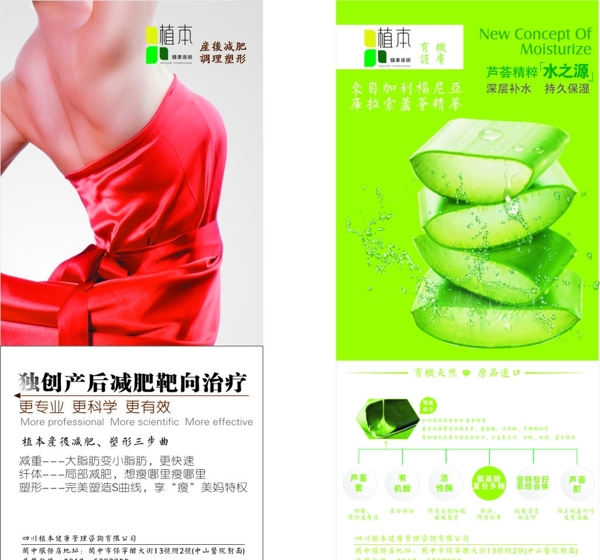 植本展架