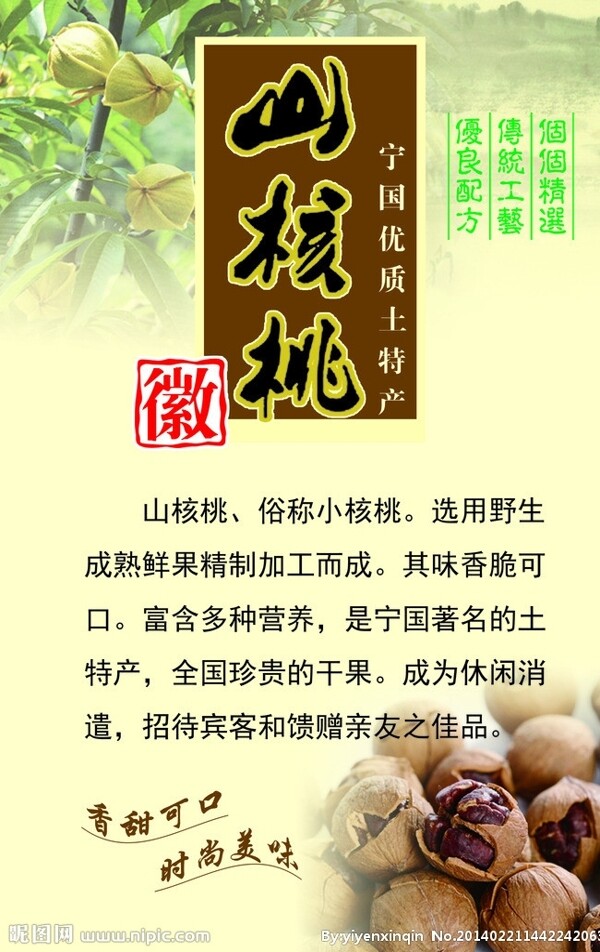 山核桃圖片