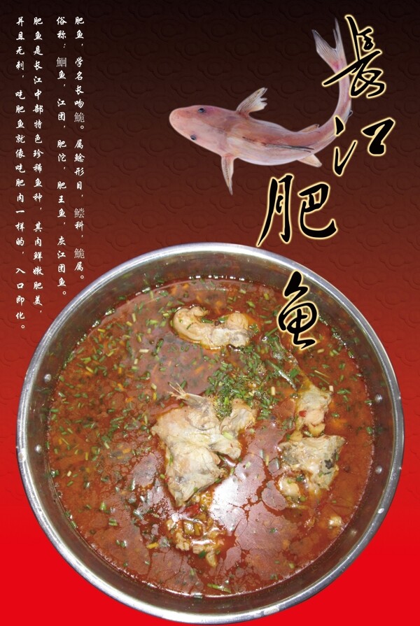 餐飲海報(bào)