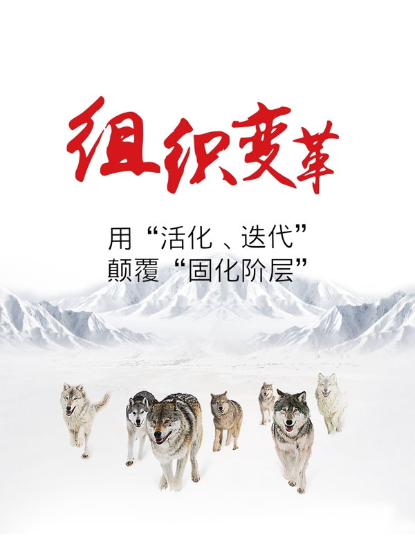企業(yè)文化