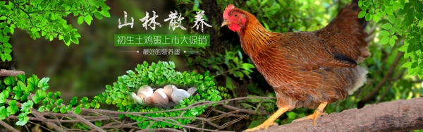 淘寶首頁海報(bào)1920雞蛋海報(bào)