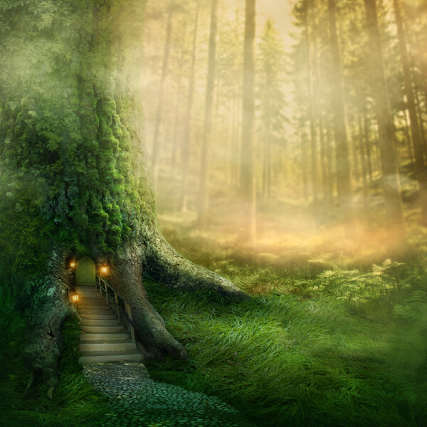 梦幻的森林图片