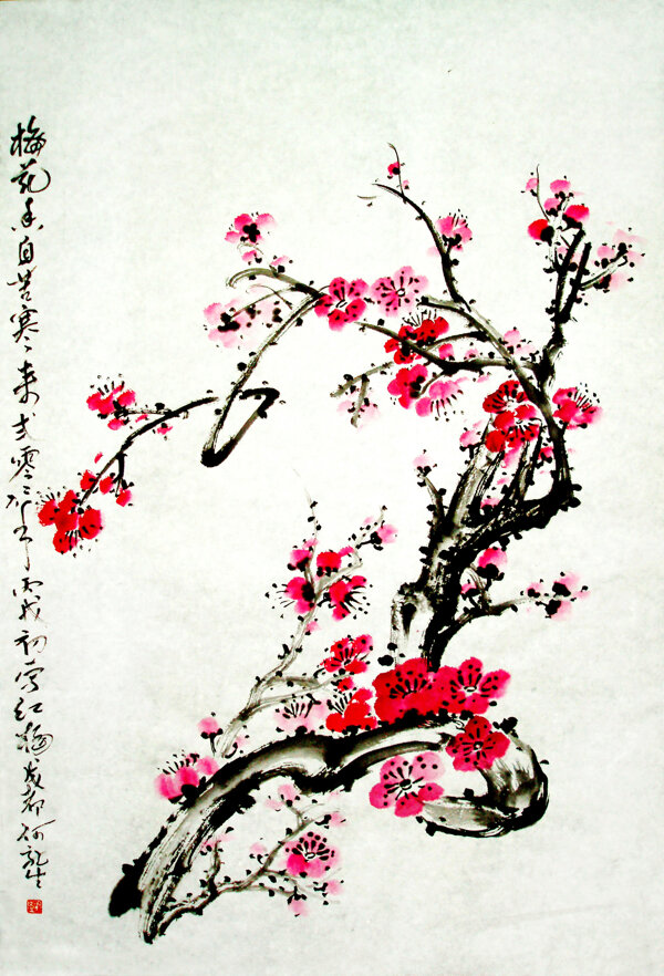 梅花圖片