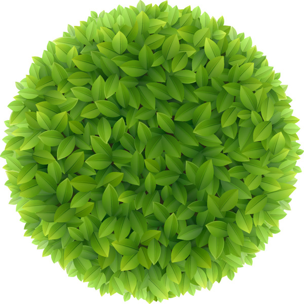 樹葉矢量素材