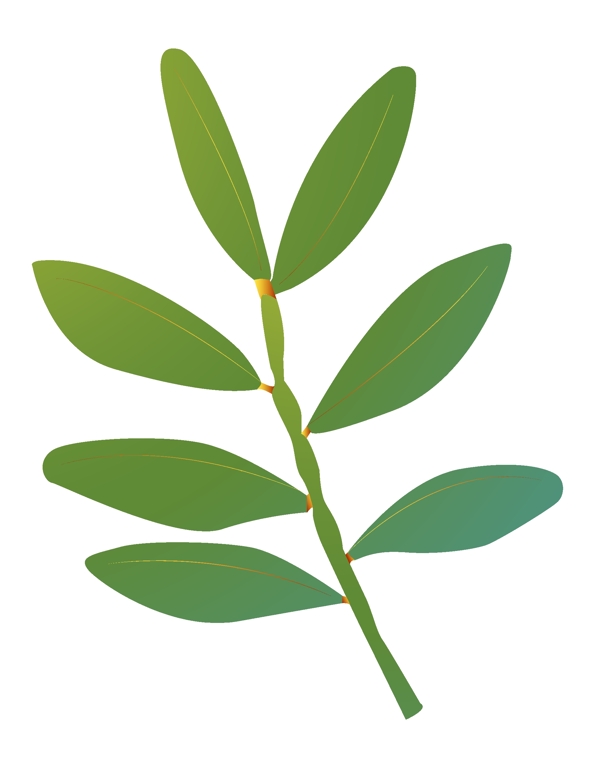 葉枝樹(shù)葉植物插畫(huà)