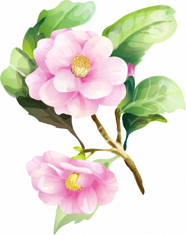 時(shí)尚休閑女裝成熟優(yōu)雅女裝T恤圖案毛衫印花優(yōu)雅植物免費(fèi)素材