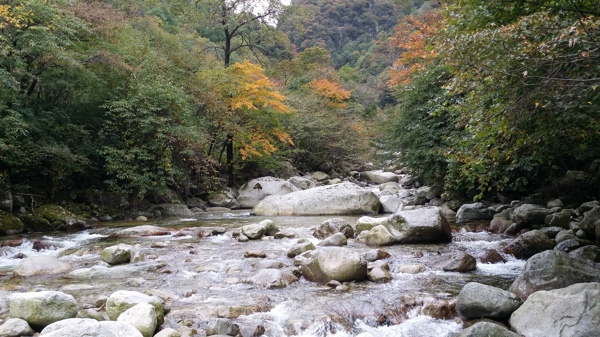 秦嶺風光