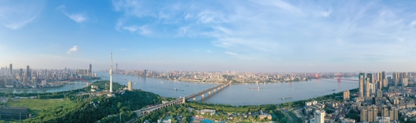 城市江景大桥和建筑全景