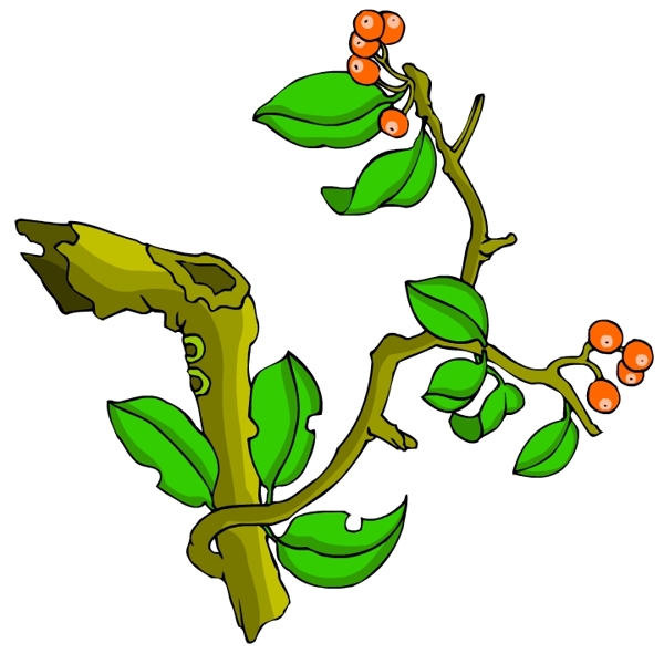 花卉古典插畫