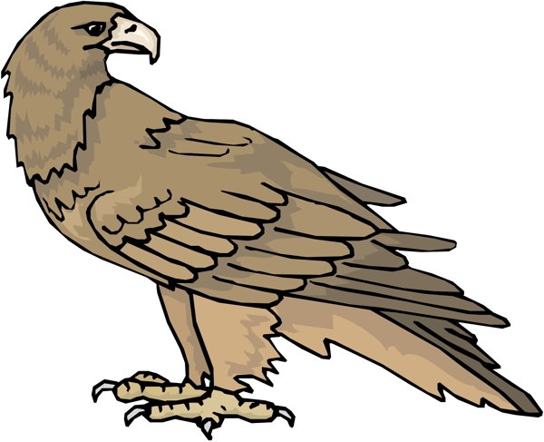 各種鳥類鳥動物矢量素材EPS格式0814