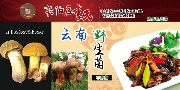 云南野生牛肝菌圖片