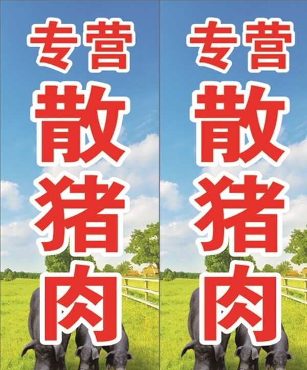 散豬肉