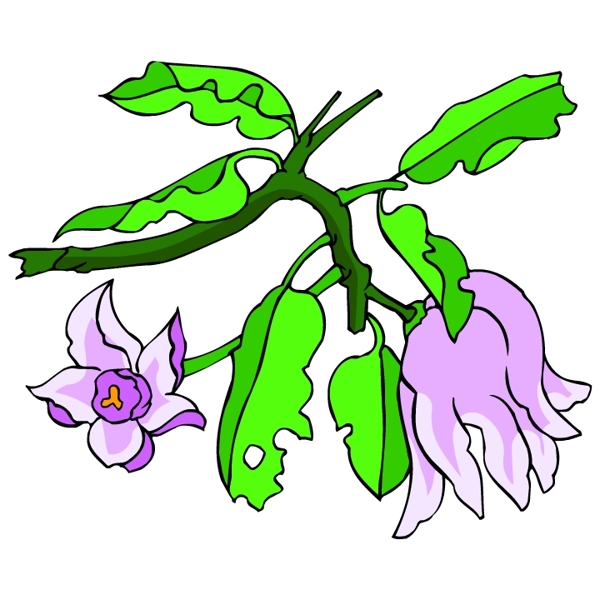 花卉古典插畫