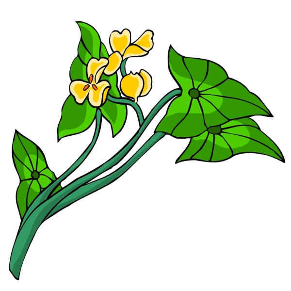 花卉古典插畫