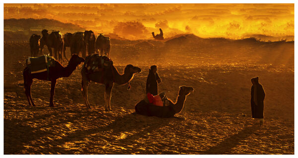 大漠孤烟沙尘暴下的驼队人群