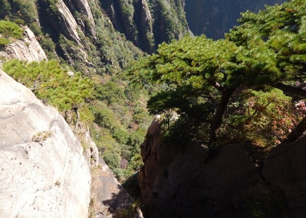 黃山風光黃山旅游黃山美景圖片