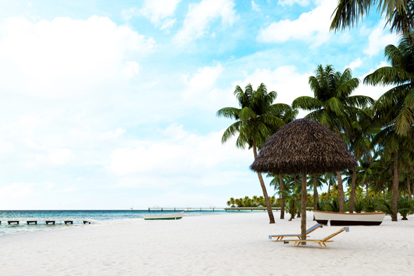 夏季沙滩海岸椰子树天空背景素材