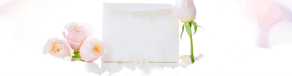 淡雅banner