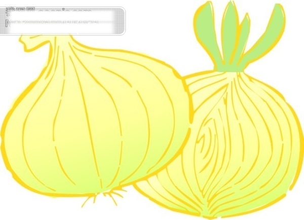蔬菜15