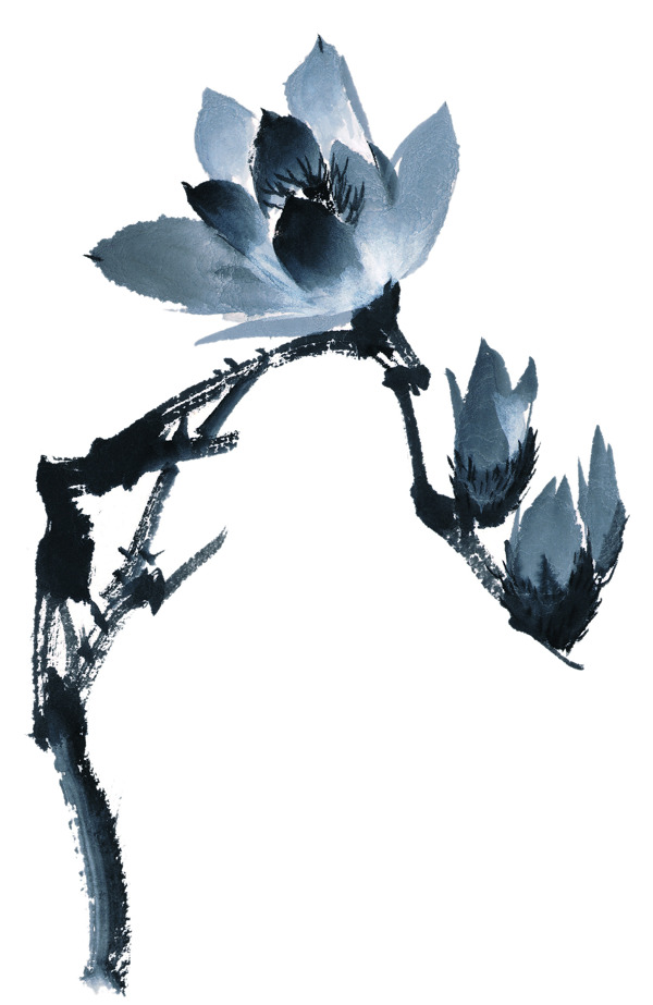 西描寫(xiě)