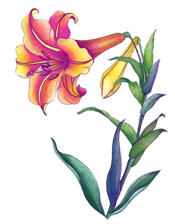 鮮花