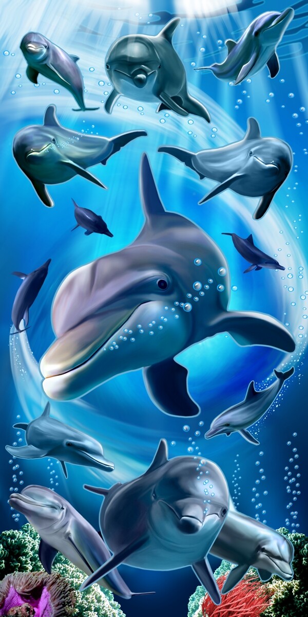 海豚家族高清分层图片