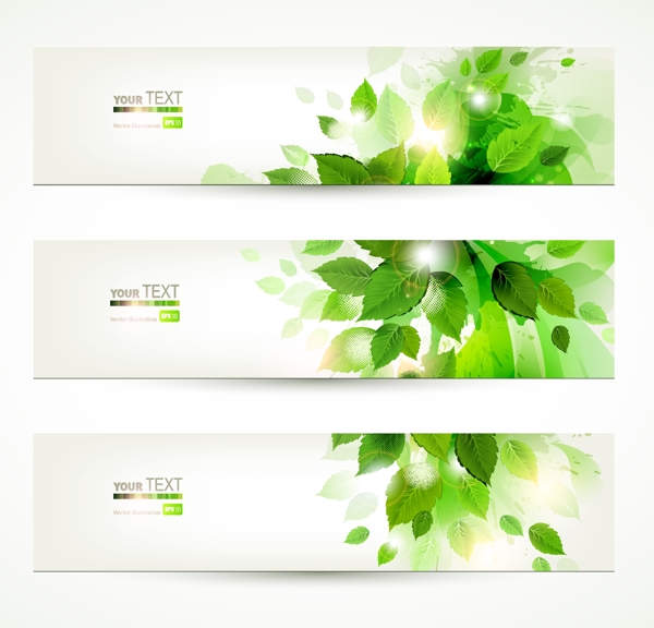 潮流綠葉banner背景矢量素材