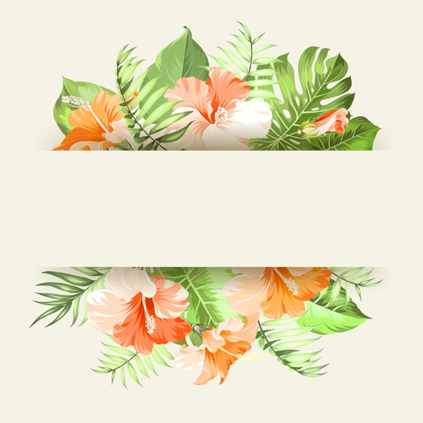 花的背景設(shè)計(jì)