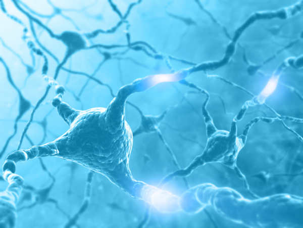 连接的神经细胞图片